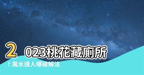 2023桃花位在洗手間|【2023桃花位在洗手間】2023桃花藏廁所！風水達人曝破解法，。